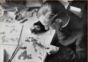 Immagine del testo tradizione gnostico - cristiana